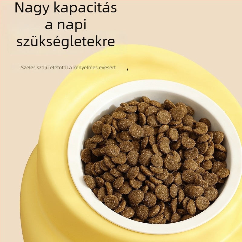 Két tál kerámia kisállatoknak, integrált víz- és ételtál, dőlésbiztos dizájn macskáknak és kutyáknak