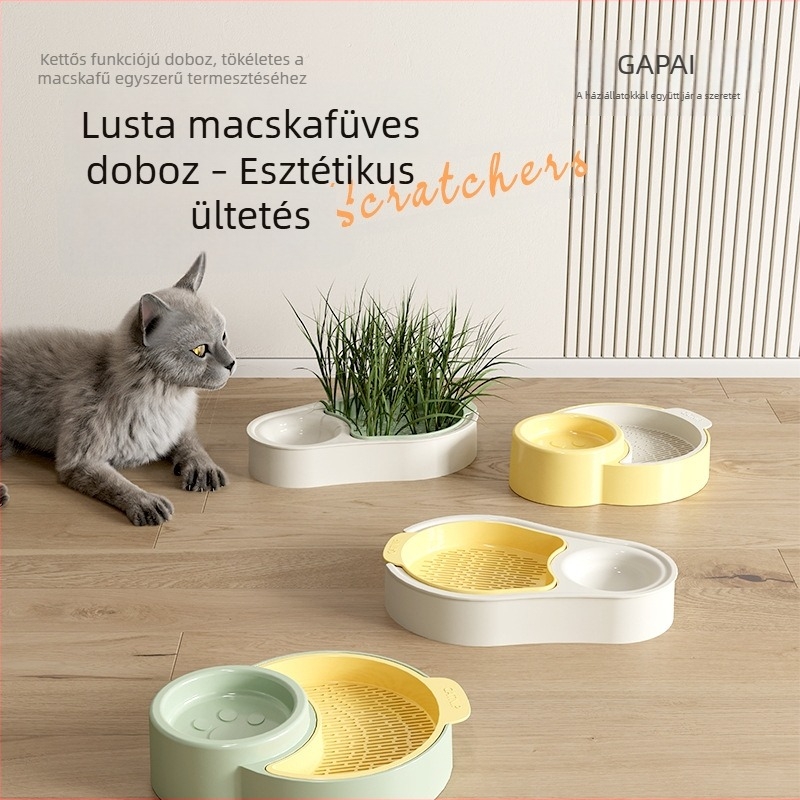 Macskafű készlet: talaj nélküli hidroponikus csíranövény-tálca macskáknak