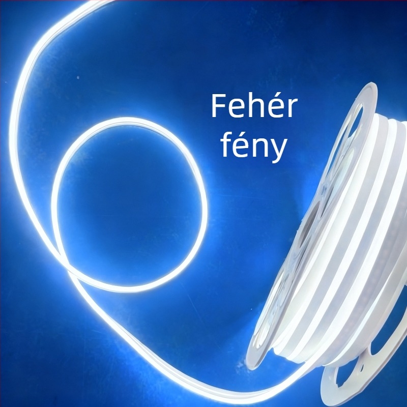 LED-szalag 816, egyoldalú fénykibocsátású, kültéri vízálló, rugalmas neonfénycsík környezeti világításhoz, 220V/110V