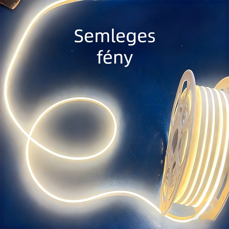 LED-szalag 816, egyoldalú fénykibocsátású, kültéri vízálló, rugalmas neonfénycsík környezeti világításhoz, 220V/110V