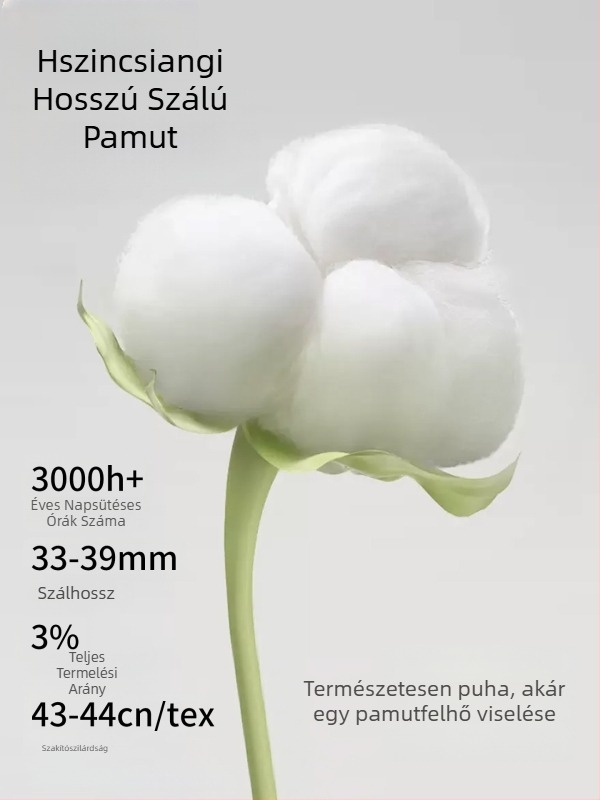Férfi ujjatlan mellény, 280 g, 100% pamut, nehéz súlyú, sport és edzéshez