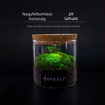 Világító üveg tárolóedény parafa kupakkal, porálló, többfunkciós bemutató üveg