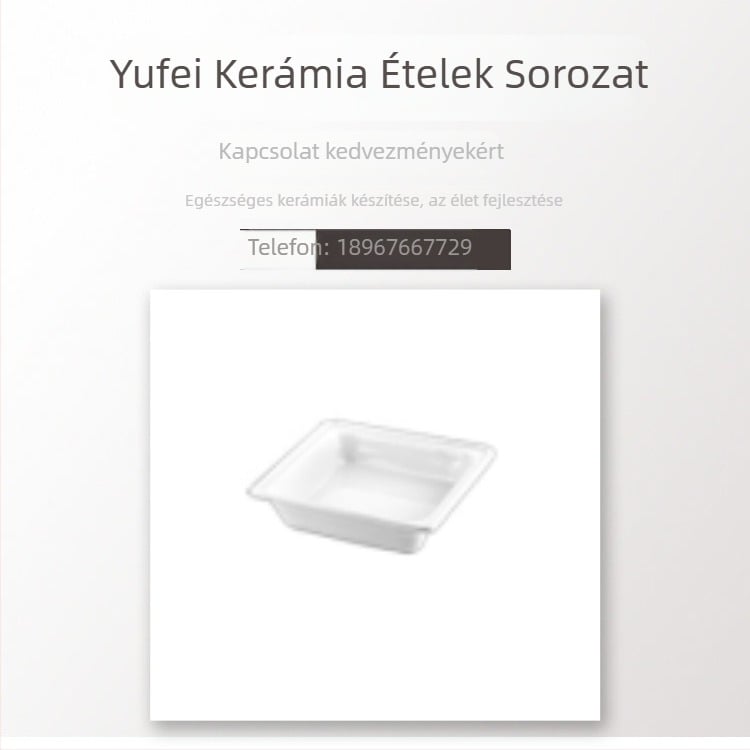 Bufet berendezés GN2/3 kerámia tál és kétszintes kerámiás tál, hőálló porcelán