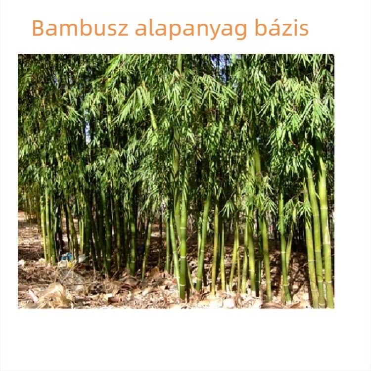 Bambusz tároló kosár, kézzel készített, gyümölcskosár