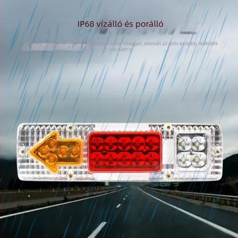 LED hátsó lámpa teherautókhoz és univerzális járművekhez, Northern Aurora, 12/24V, mérnöki műanyagok, testreszabható