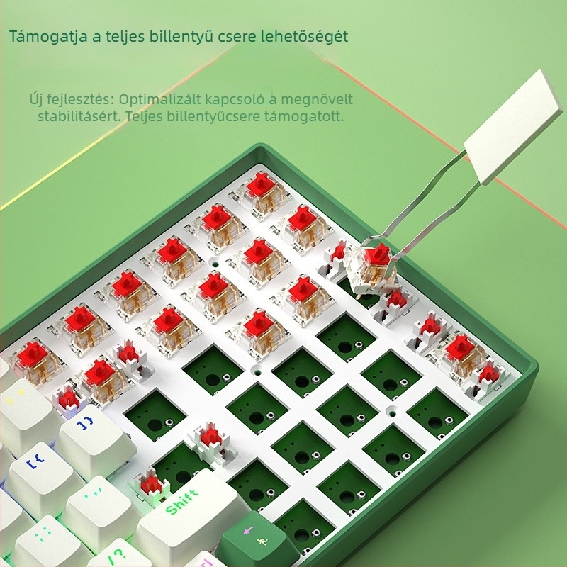 B.O.W Hot-Swappable 100-billentyűs mechanikus billentyűzet, USB-kábeles csatlakozás, RGB háttérvilágítás (G100U)