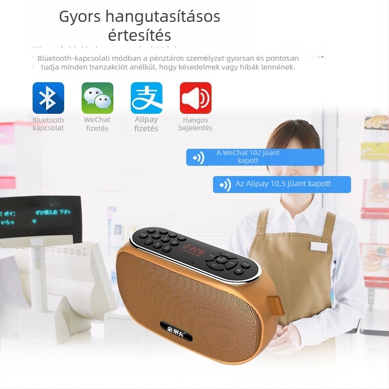 Kültéri hordozható vezeték nélküli Bluetooth hangszóró kártyahellyel, rádióval, mély basszussal, kompakt hangszóróval és MP3-lejátszóval időseknek