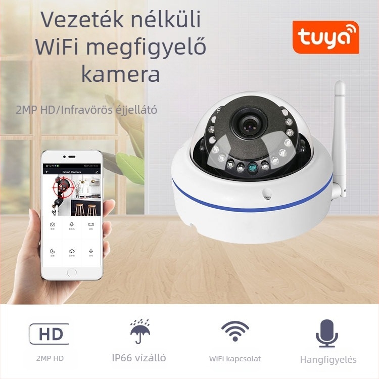 Loosacam WiFi robbanásbiztos gömbkamera, emberalak-észlelés, HD éjjellátás, beltéri kereskedelmi megfigyelés