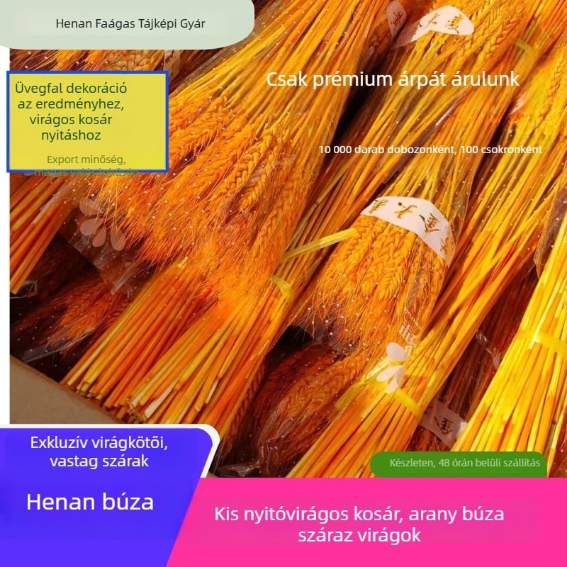 Szárított virágokból álló kompozíció árpával — Márka: Big Banyan Tree Landscape Materials Factory; Anyag: Szárított és megőrzött virágok; Fajta: Árpa