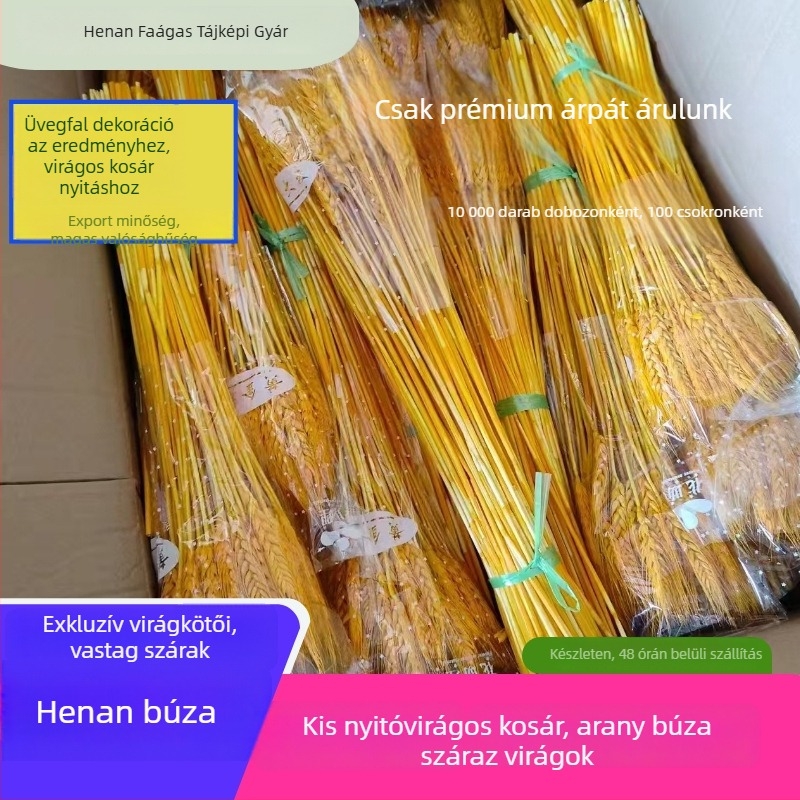 Szárított virágokból álló kompozíció árpával — Márka: Big Banyan Tree Landscape Materials Factory; Anyag: Szárított és megőrzött virágok; Fajta: Árpa