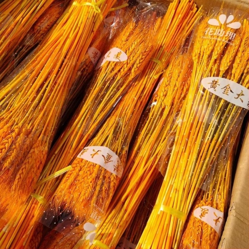 Szárított virágokból álló kompozíció árpával — Márka: Big Banyan Tree Landscape Materials Factory; Anyag: Szárított és megőrzött virágok; Fajta: Árpa