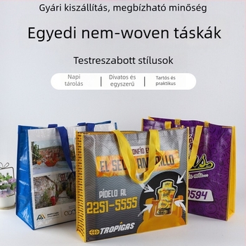 Nem szövött reklámtáska szitanyomással és laminált nyomtatással, logóval nyomtatva, testreszabható, alja és oldalai