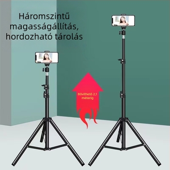 Videó világítási állvány, összecsukható kivitel, alumínium ötvözet, 3D PTZ, teherbírás 2-5 kg