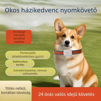 Beidou GPS nyakörv háziállatoknak, helymeghatározás, veszteség elleni védelem, vízálló, manipuláció elleni védelem, iOS-kompatibilis