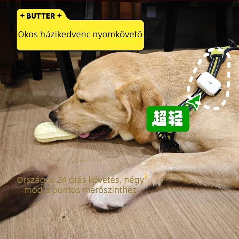 Beidou GPS nyakörv háziállatoknak, helymeghatározás, veszteség elleni védelem, vízálló, manipuláció elleni védelem, iOS-kompatibilis