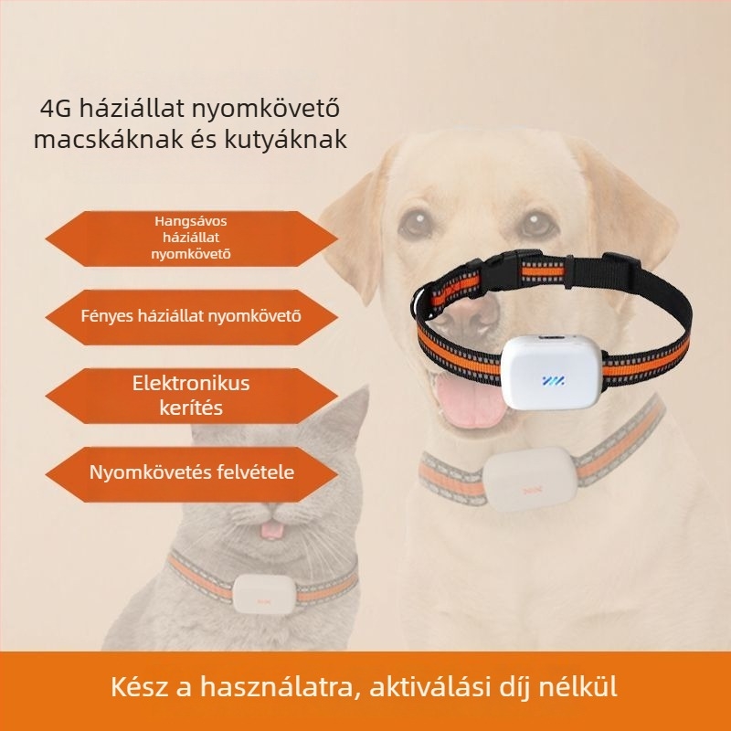 Beidou GPS nyakörv háziállatoknak, helymeghatározás, veszteség elleni védelem, vízálló, manipuláció elleni védelem, iOS-kompatibilis