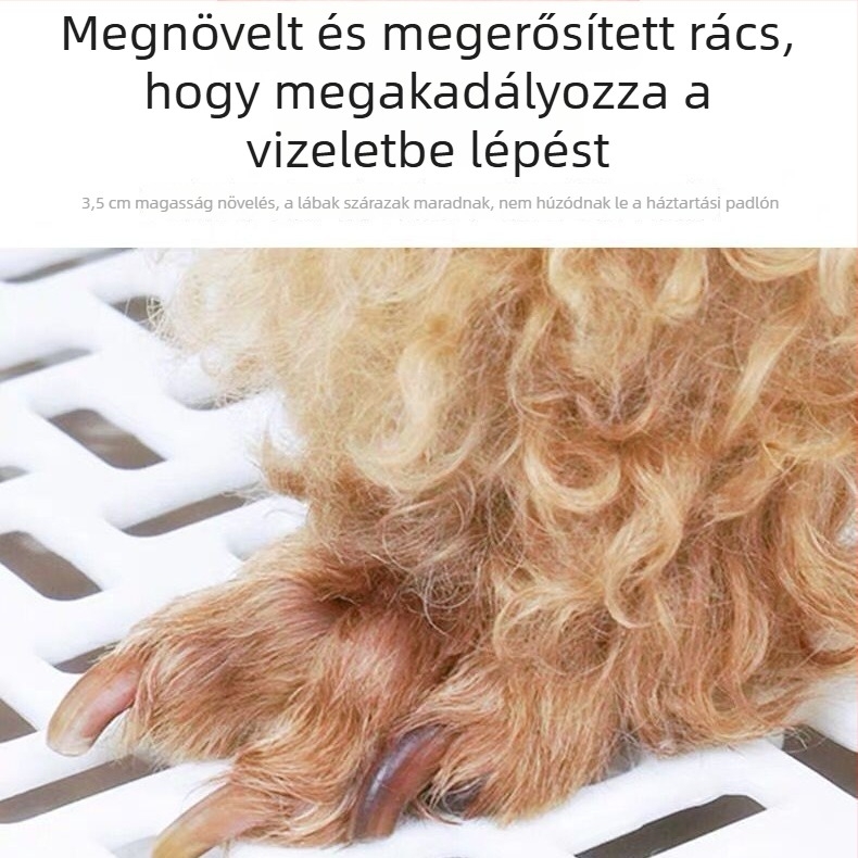 Kutyatoalett, lapos kialakítású, levehető ürítőmedencével, cseppálló