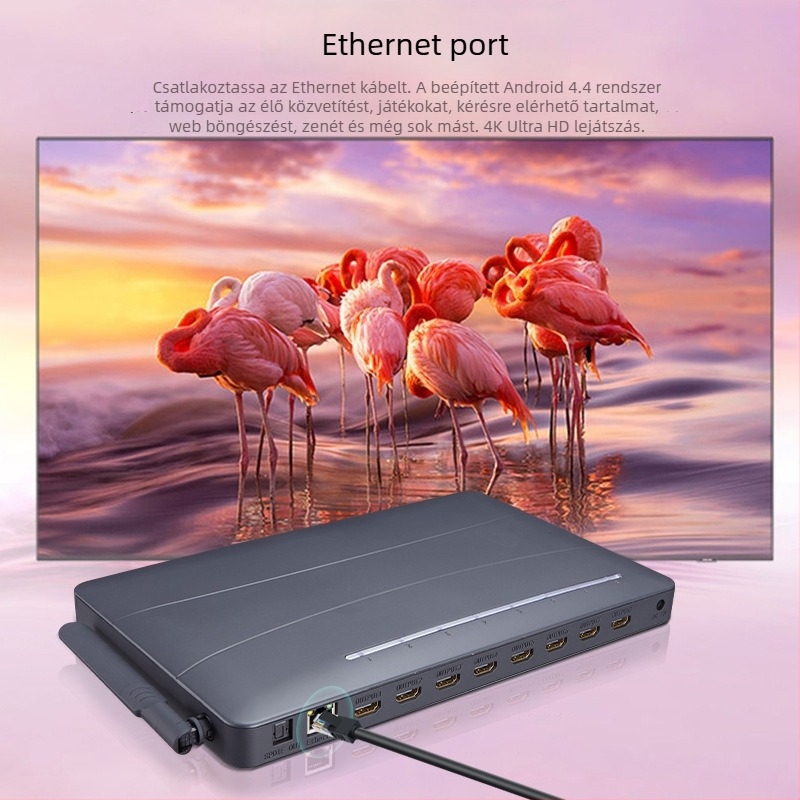 BW-8HFMEDIA 4K HDMI Android médialejátszó, 8GB RAM, 8GB tárhely, USB pendrive-támogatás, 8-portos HDMI elosztás
