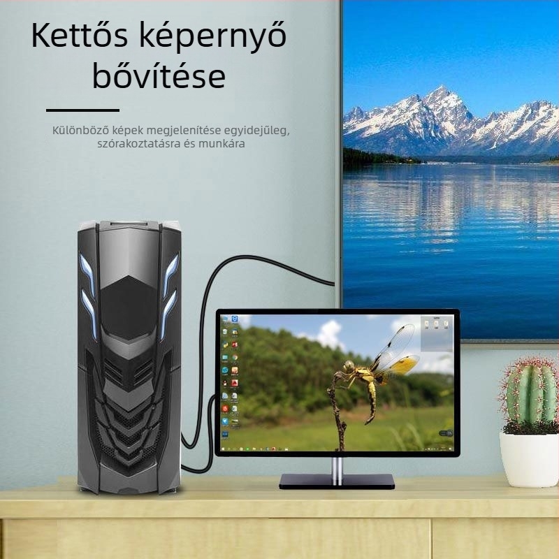 DP-DVI adapterkábel, DP-DVI modell, DVI interfész