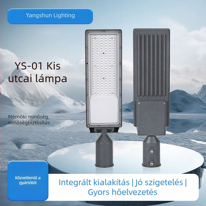 Utcai lámpa ház (Teljesítmény: 100W; Integrált LED lencse modul; Anyag: Alumínium; Modell: Ys-01)