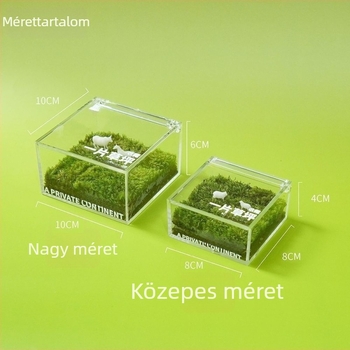 Asztali moha mikro tájkép dobozban — kézzel készült, testreszabható, mohából, logónyomtatás elérhető