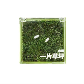 Asztali moha mikro tájkép dobozban — kézzel készült, testreszabható, mohából, logónyomtatás elérhető