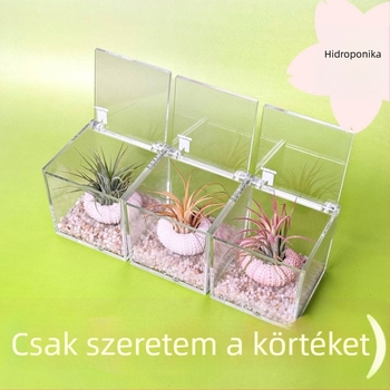 Mini asztali növénykészlet talaj nélkül, kézzel készített, testreszabható (Anyag: Növény; Feldolgozás és testreszabás: Támogatja a testreszabást)