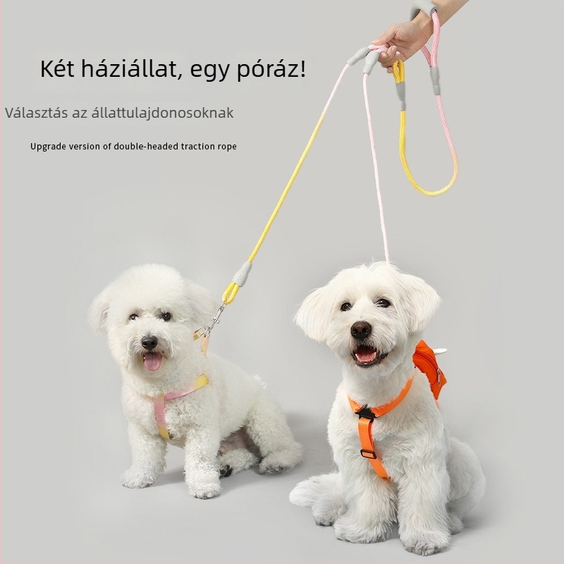 Nylon kettős fejű kutya sétáló kötél, nem visszahúzódó vontatási pánt, Zhejiang eredetű