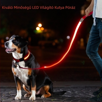 USB töltésű LED világítású kutyapóráz, reflexiós nylon szalag – nem nyújtható, éjszakai sétákhoz