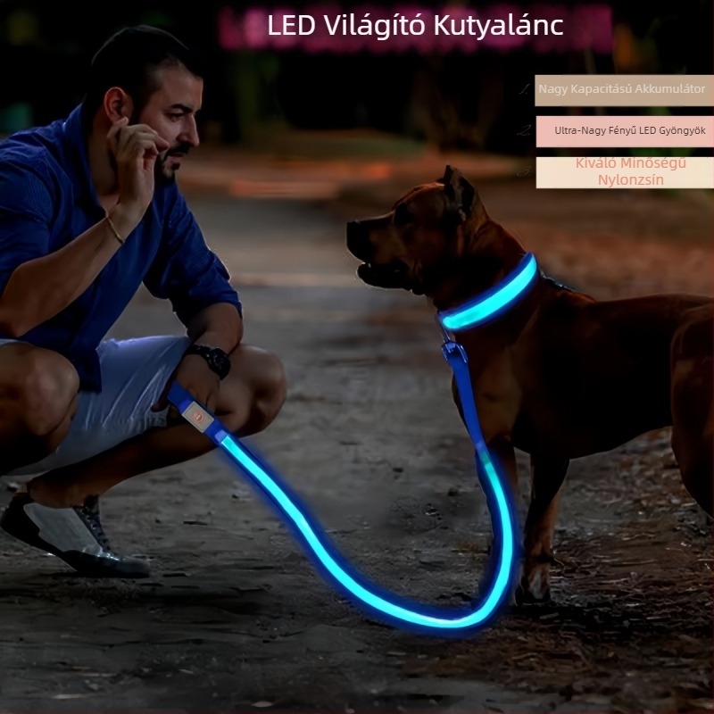 USB töltésű LED világítású kutyapóráz, reflexiós nylon szalag – nem nyújtható, éjszakai sétákhoz