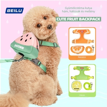 Kis kutya mellényes hám behúzható pórázzal – poliészter