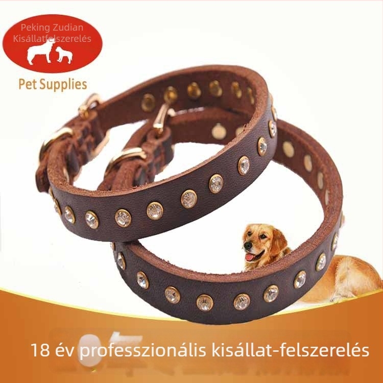 Gyémánttal díszített bőr kutyanyakörv kisméretű kutyáknak, pórázzal