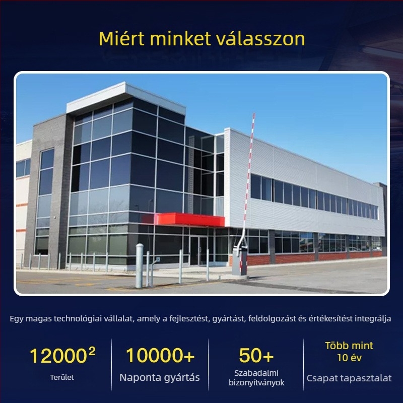 Autóba szerelhető levegőpumpa, egyhengeres, 120W, DC-12V, 35L/min, digitális kijelző és mutató, 3 m hosszú kábel