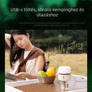 Elektromos szúnyogriasztó folyadék diffúzor éjszakai fénnyel, USB-s táplálás, 11–20 m² lefedettség, LED, ABS burkolat, 70 g