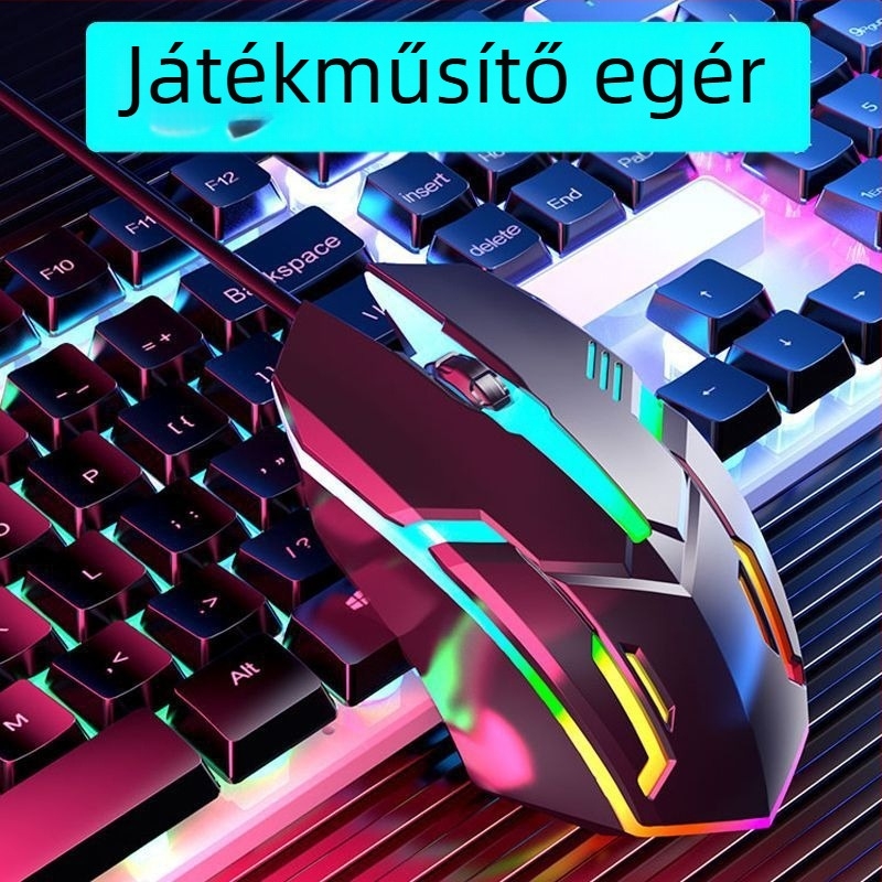 Vezetékes optikai egér USB interfésszel, 2 gombos