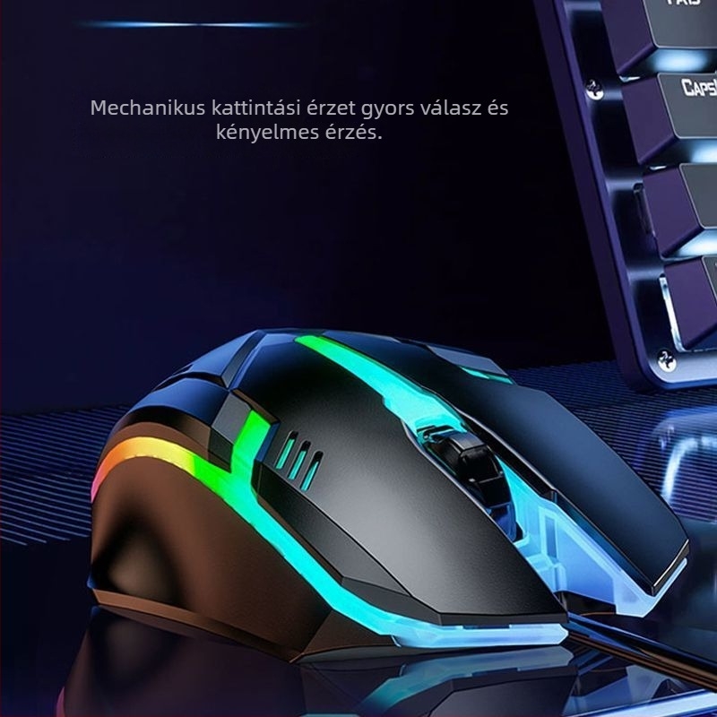 Vezetékes optikai egér USB interfésszel, 2 gombos