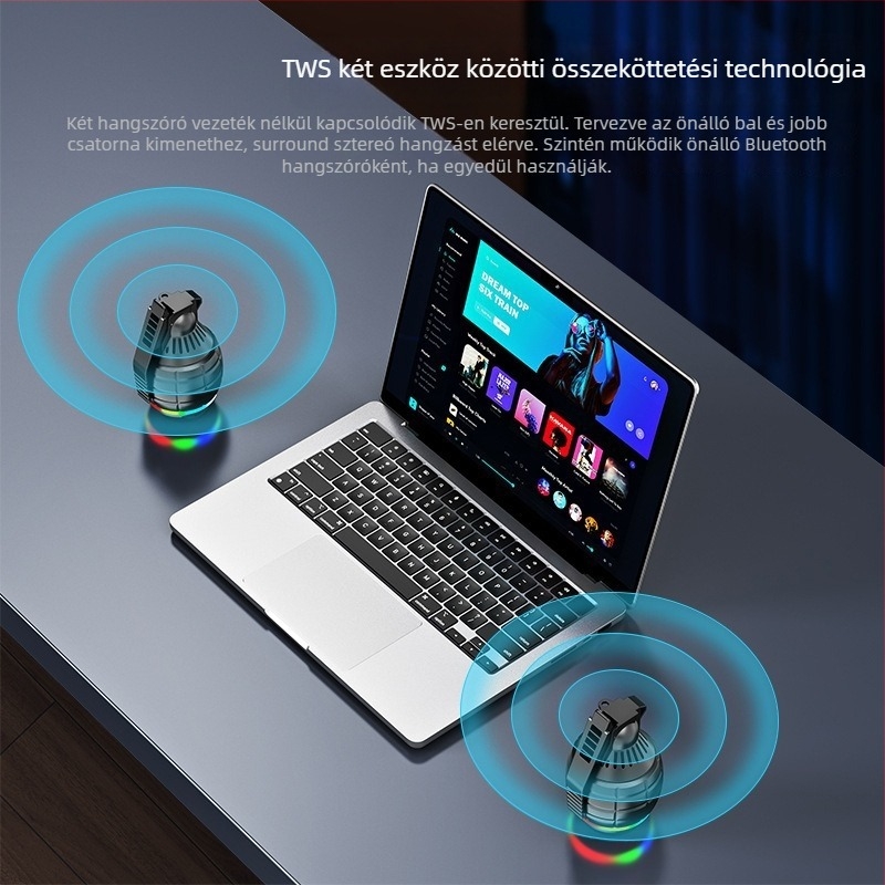 Hordozható Bluetooth hangszóró FM rádióval, 5W kimenet, beépített 1000-1200 mAh akkumulátor, Bluetooth 5.3