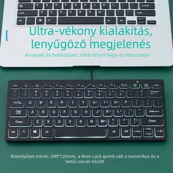 Apayado K1000 membrán billentyűzet, 78 gombos, USB-kábel, ABS váz, kevert háttérvilágítás, laptop-kompatibilis