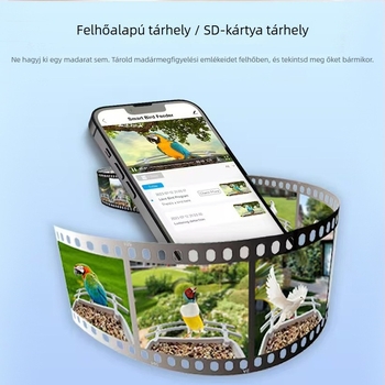 BF10 madáretető kamera — 30 napos akkumulátor-élettartam, 15 m képtáv, környezetbarát ABS anyag, műanyag ház (Model BF10, Akkumulátor-élettartam 30 nap, Kép-táv 15 m, ABS környezetbarát anyag, Műanyag ház)