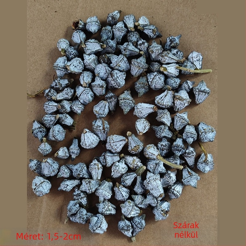 Szárított virágok, eukaliptuszlevél-bukett, festetlen, virágkötésekhez, Opp zacskóban