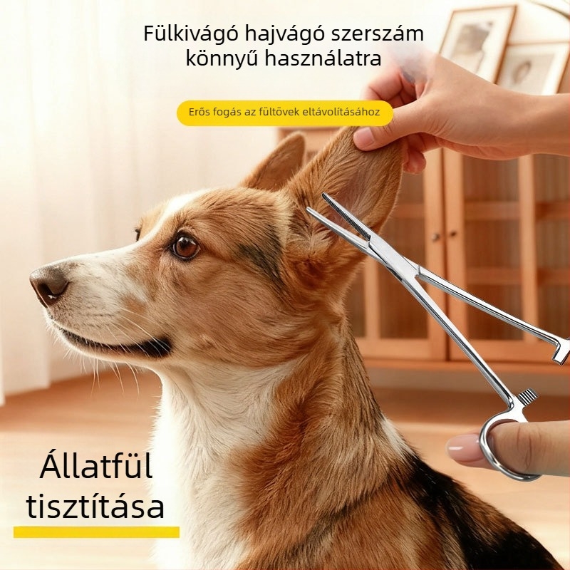 Hartley fül szőrtelenítő csipesz rozsdamentes acélból, 100 darab, kutyák számára – fülápolási eszköz