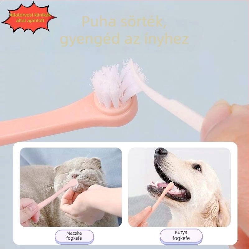 Háziállatok fogkeféje kerek fejű, lágy sörtékkel, macskák és kutyák számára, egyszer használatos