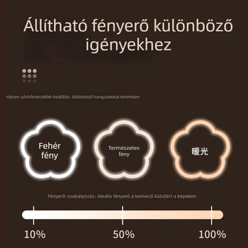 Mini telefonos szelfivillogító lámpa – három színhőmérséklet, 3W, 5V, ABS+PS, TL-001