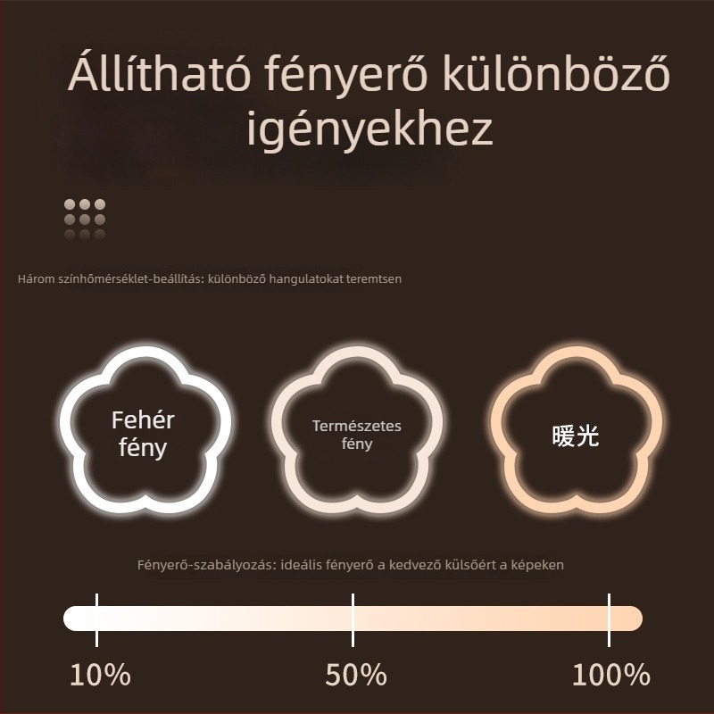 Mini telefonos szelfivillogító lámpa – három színhőmérséklet, 3W, 5V, ABS+PS, TL-001