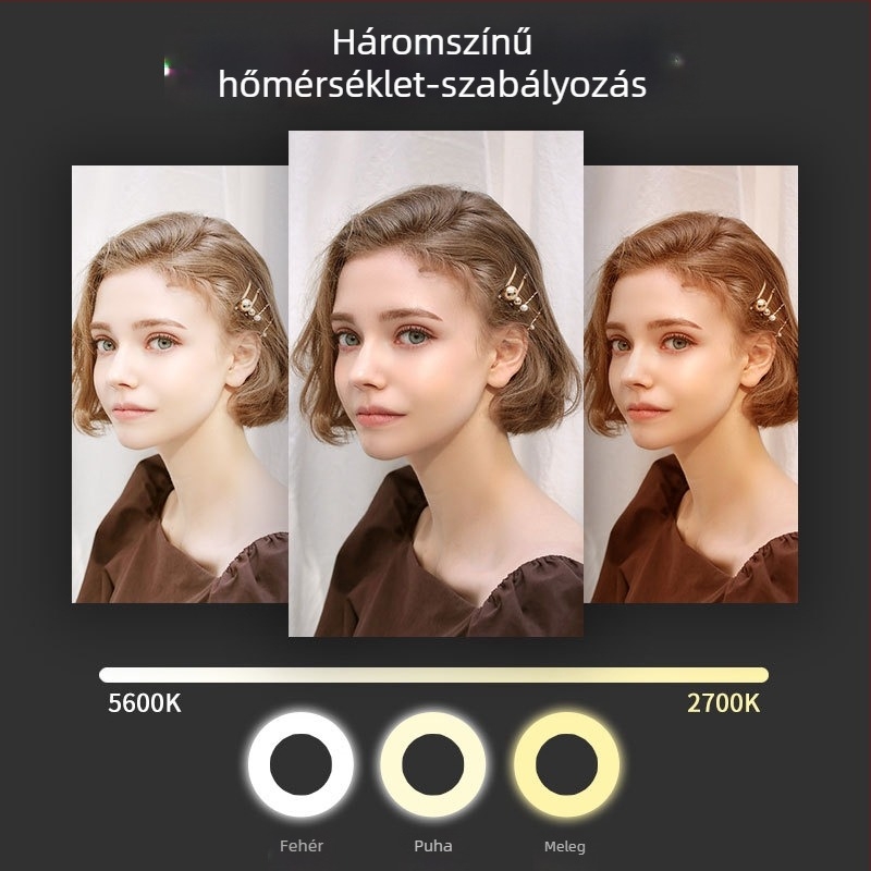 Shiming SM206 Összecsukható kitöltő fény, 60W, 110–240V, szépségápolásra, sminkhez és élő közvetítéshez