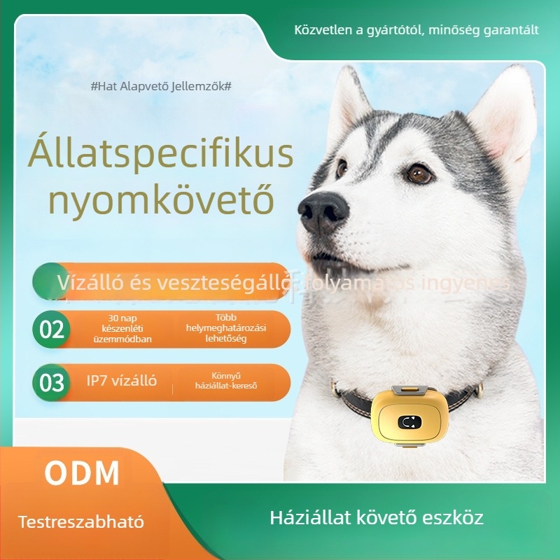 GPS háziállat nyomkövető (ABS, polimer akkumulátor, 32 MB memória, GPS pontosság 1-5 m)
