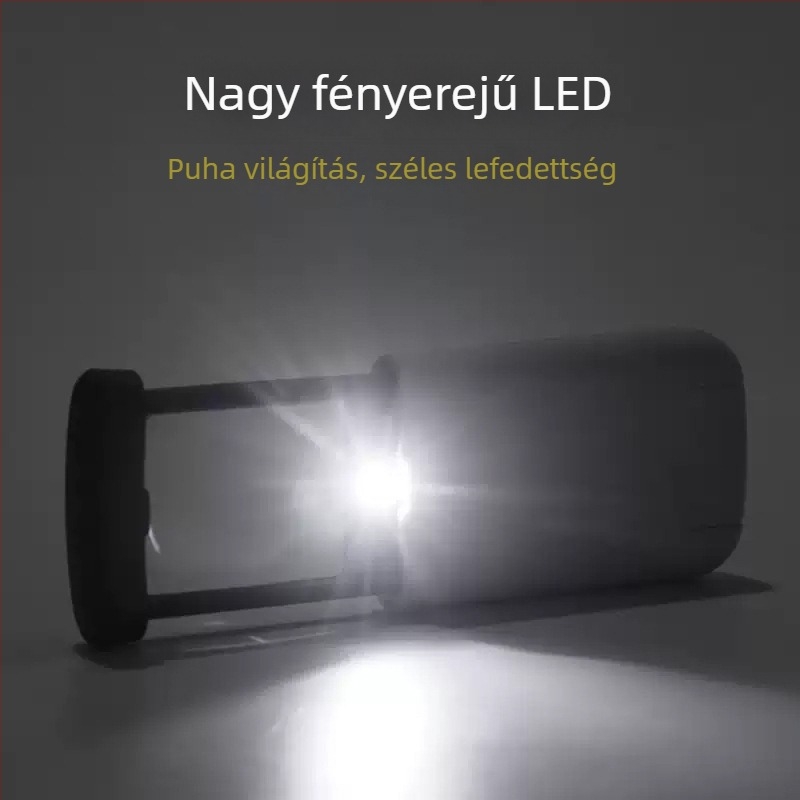 Olvasólupa LED-fénnyel, kézben tartva, kihúzható, hordozható kialakítás (Nem importált; Egyéb piacok; Engedélyezett magánmárkák)