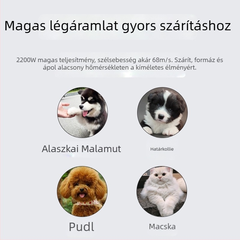 Nagytestű kutyák számára készült állati szárító, DC motor, 1000 W alatt, 220 V, spirál fűtőkábel, túlmelegedés elleni védelem