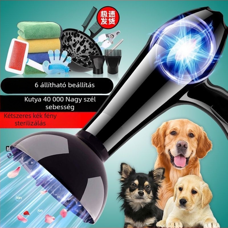 Állati hajszárító nagy teljesítményű légárammal kutyáknak és macskáknak (Model 1, 2000W+, ≤36V, Univerzális)