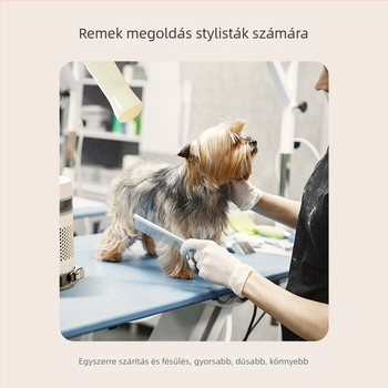 Kiskedvenc szőr megszárító – DC motor, 220V, 2000W+, túlmelegedés elleni védelem — macskák és kutyák számára